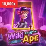 wild